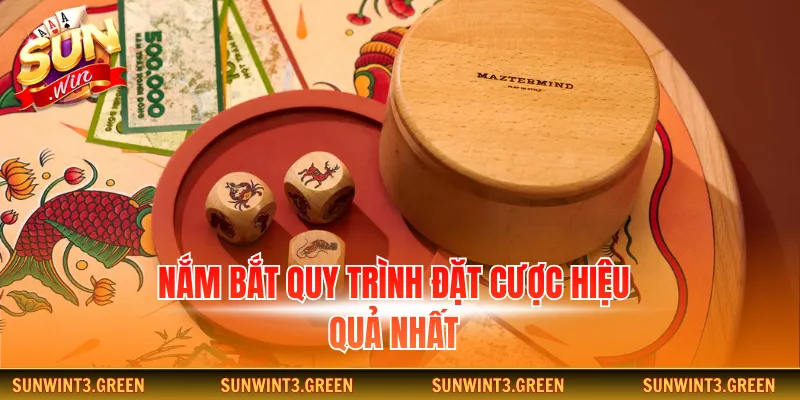 Nắm bắt quy trình đặt cược hiệu quả nhất